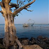 Early morning sun on the Chinese fishing nets, Cochin