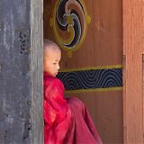 Young monk