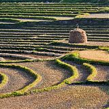 Terraces