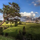Summer’s day on the Alpe di Siusi