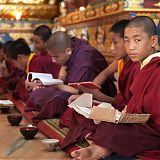 Buddhist Monks, image: Stu Holmes