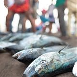 Fish market, Cochin
