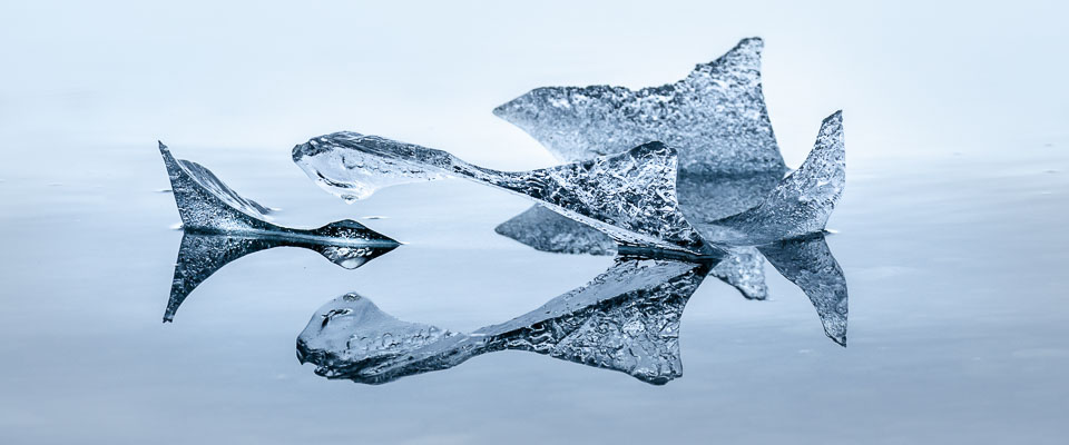 Delicate ice sculptures afloat