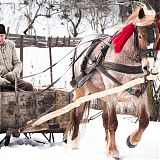 Farmer on traditional horse cart