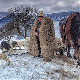 Sheep farmer in Maramures in traditional dress