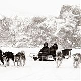 Musher with his dogs