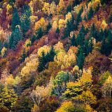 Mountainside with autumn colours
