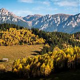 Mountain meadows, Transylvania