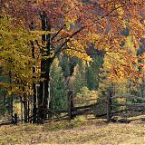 Autumn colours, Julian Alps