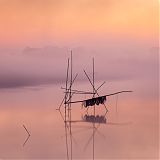 Fishing nets