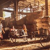 Calcutta Flower Market 