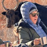 Yak eying up Alison's tea