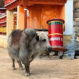 Prayer time for Ulley Village Yak 