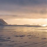 Morning light