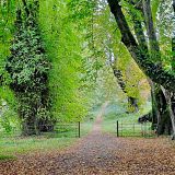Killarney National Park