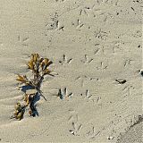 Sand patterns