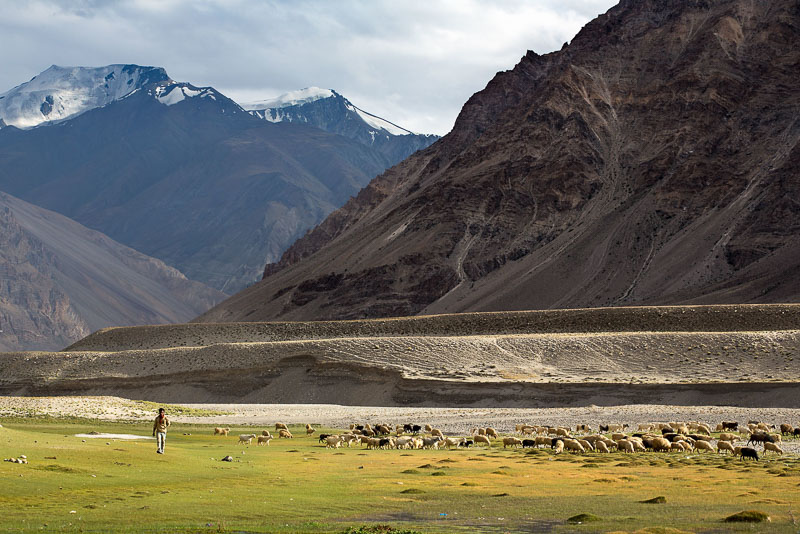 Wild Photography Holidays Photographic Adventure Travel Ladakh 