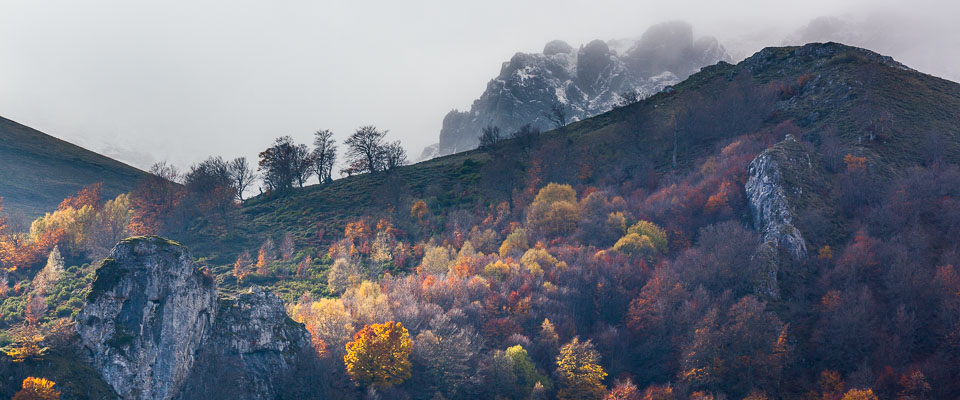 Autumn colours, Picos De Europa