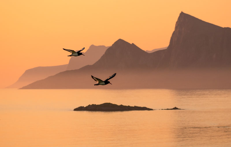 Midnight sun in Lofoten Islands, over Arctic Circle