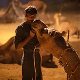 Love - Pushkar Camel Fair