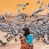 Girl feeding the pigeons