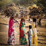 Women collecting wood